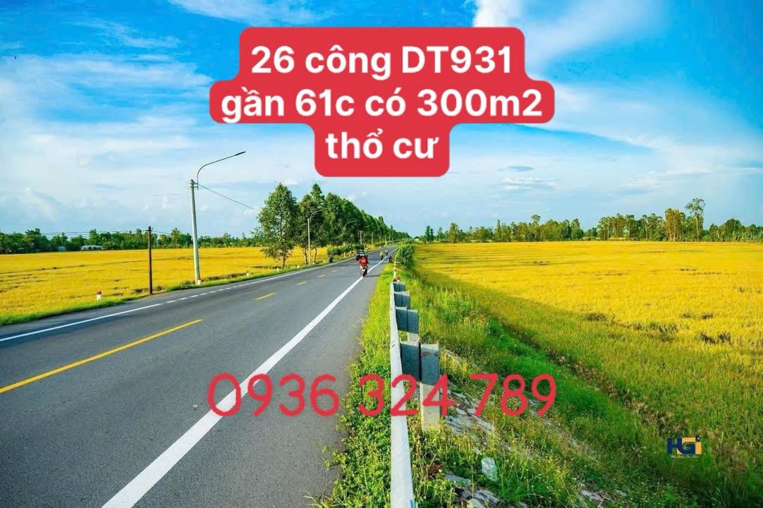Bán 26.000m² đất Tỉnh lộ 931 Hậu Giang giá 13 tỷ - Tiềm năng tăng giá cao