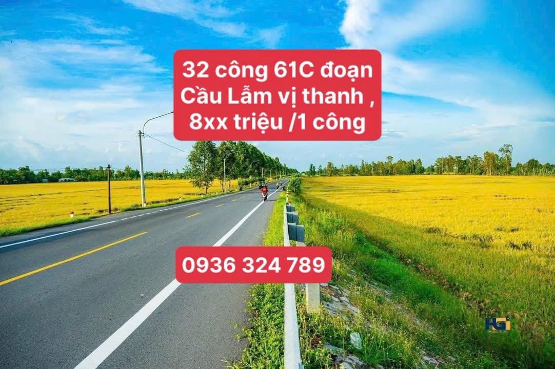 Đất nền Hậu Giang 3.2ha Quốc Lộ 61C - Tiềm năng tăng giá vượt trội!