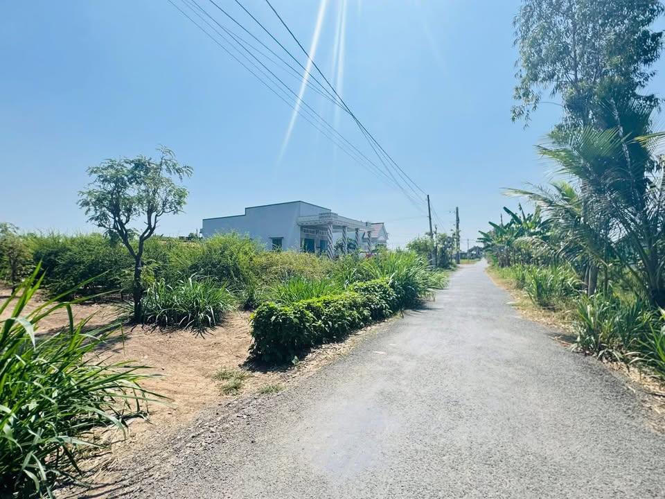 Đất Vườn 2400m² Gò Công Đông - Giá 1.6 Tỷ - View Kênh Thoáng Mát