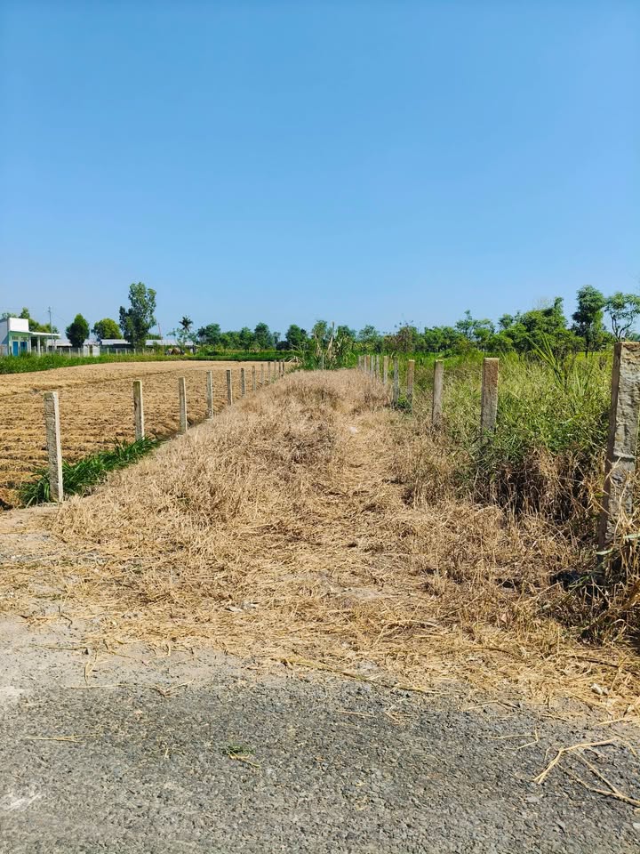 Đất nền Long Hưng TP Gò Công 175m² - Sổ đỏ chính chủ