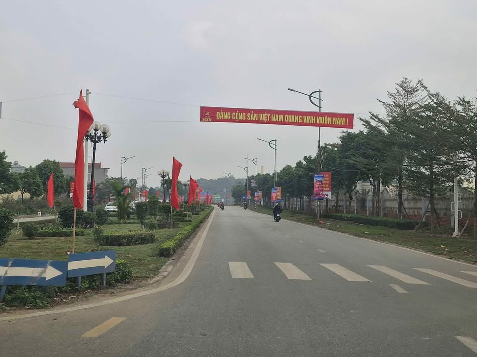 Đất nền Tam Đảo 115m² - Sổ đỏ chính chủ, giá cực tốt!