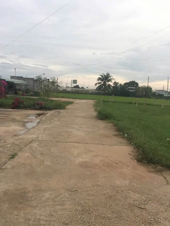 Đất Nền 236m² Sổ Đỏ Tại Hàm Trí, Hàm Thuận Bắc - Chỉ 420 Triệu, Gần Cao Tốc