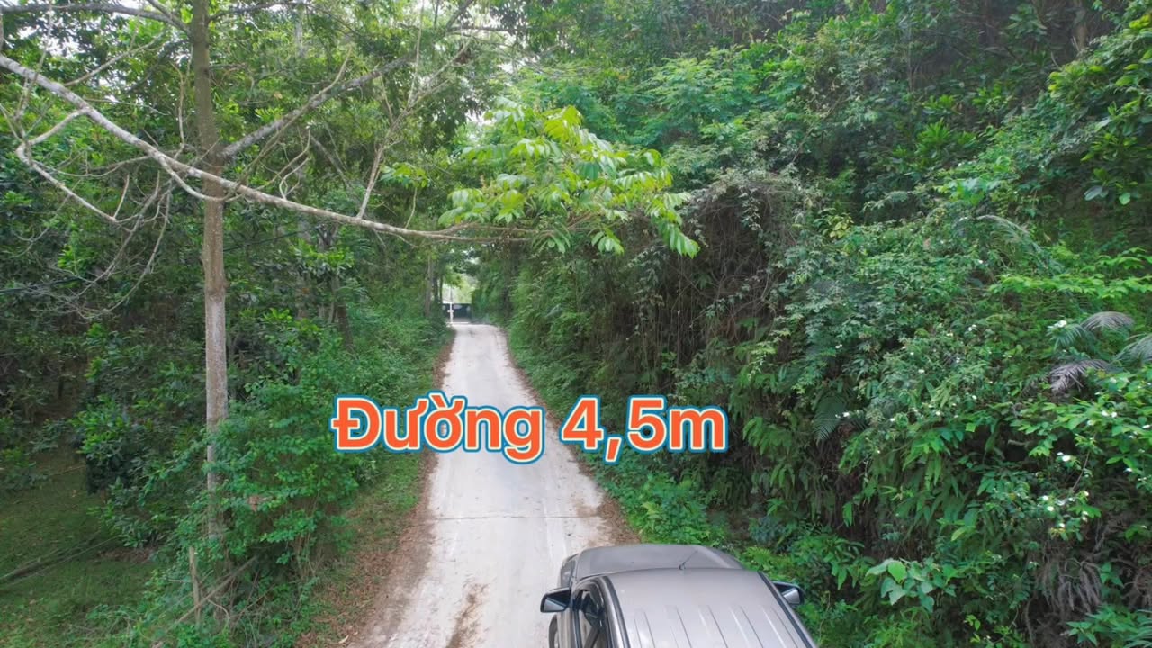 Đất Vườn Phú Thọ 10000m² Giá Đầu Tư - Giáp Dự Án Du Lịch Hồ Suối Rồng