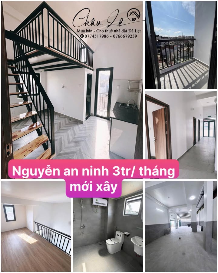 Nhà Nguyên Căn Đà Lạt - 3 Triệu/Tháng, Sẵn Sàng Đón Tết