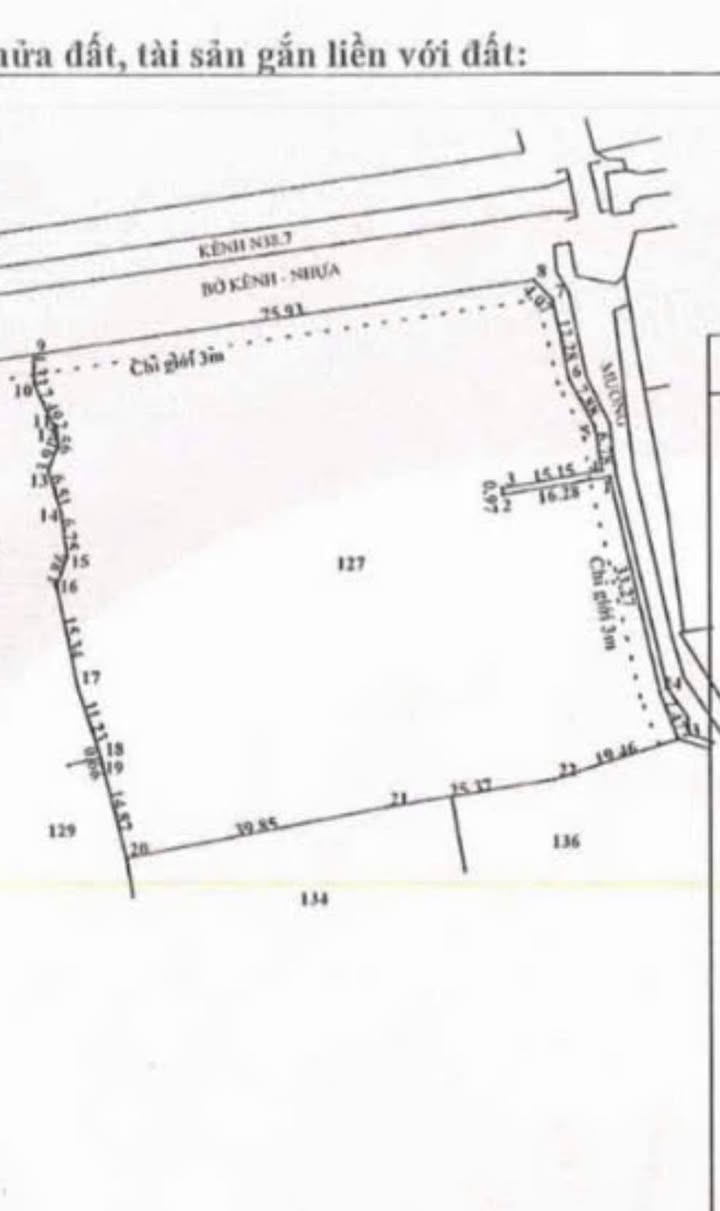 Đất vườn Thái Mỹ 6200m² giá 6.82 tỷ - Sổ đỏ chính chủ, đầu tư sinh lời!