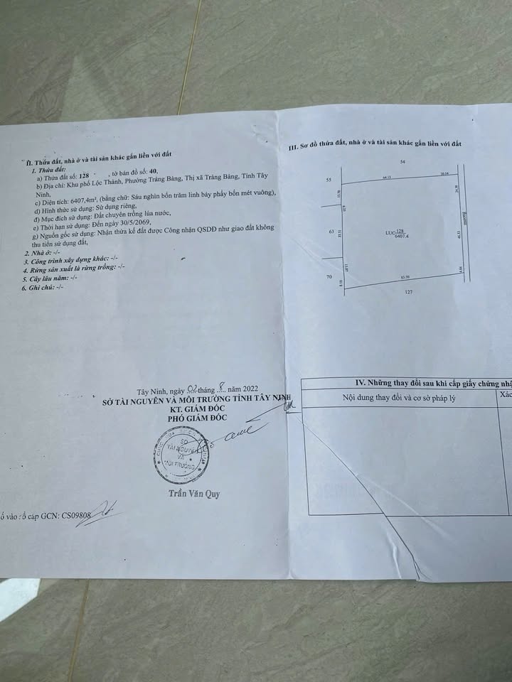 Đất Lúa Nước Trảng Bàng, Tây Ninh 8000m² - Sổ đỏ chính chủ!