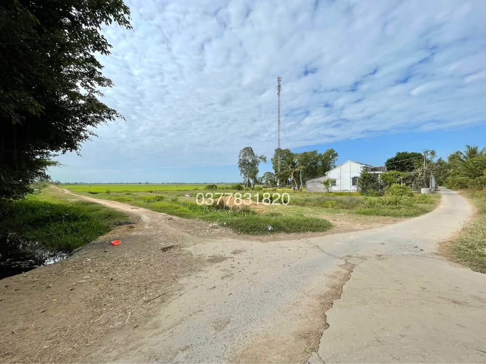 Đất nền Phường 1 TP Trà Vinh 1821m² - Tiềm năng tăng giá vượt trội!