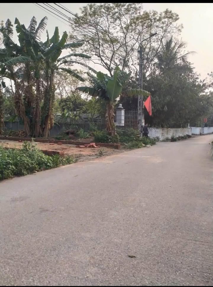 Đất nền Hoàng Hoa Tam Dương 102m² - Sổ đỏ chính chủ, đường nhựa