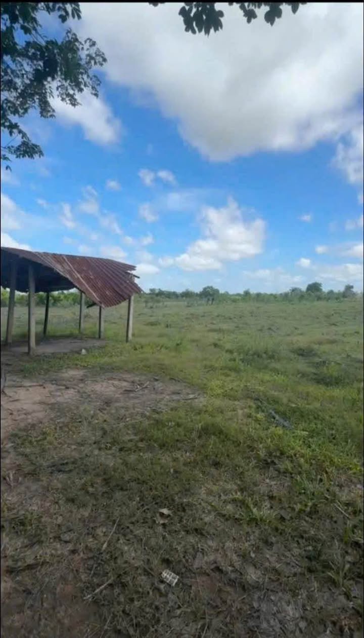 Đất nền Châu Thành Tây Ninh 19000m² - Đầu tư sinh lời ngay!