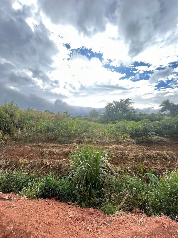 Đất Vườn 1000m² Sổ Đỏ Thổ Cư 200m² Ven Đà Lạt - Giá 1.3 Tỷ