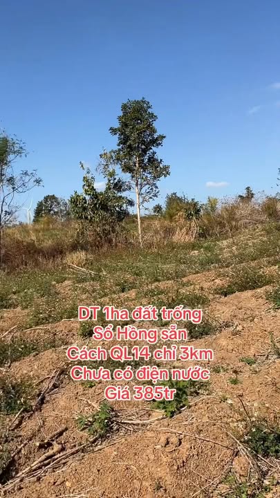 Đất Nền 1ha Ia Le, Gia Lai - Sổ Hồng Sẵn Sàng, Giá Tốt Nhất Khu Vực