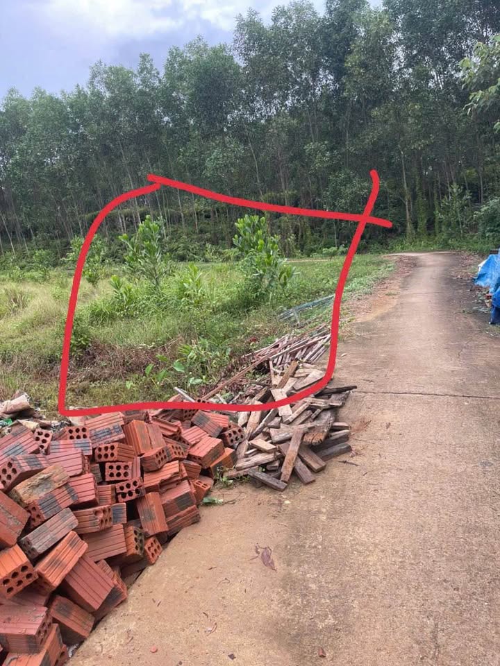 Bán đất Lộc An, Long Thành 165m² - Sổ đỏ sẵn sàng, giá chỉ 2xx triệu