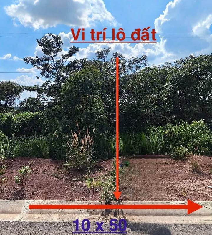 Đất Nền Quy Nhơn 500m² Mặt Tiền Tịnh Xá Ngọc Đạt - Giá Tốt