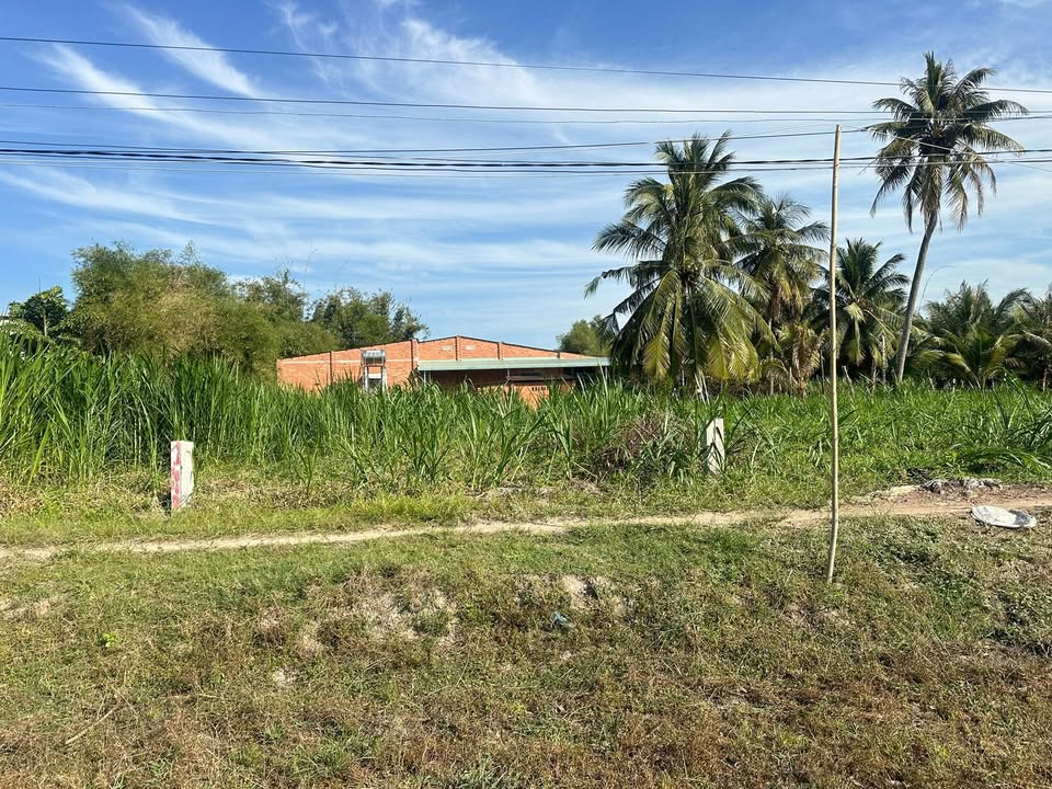 Đất nền Bến Cầu Tây Ninh 193m² giá 185 triệu - Sổ hồng sẵn!