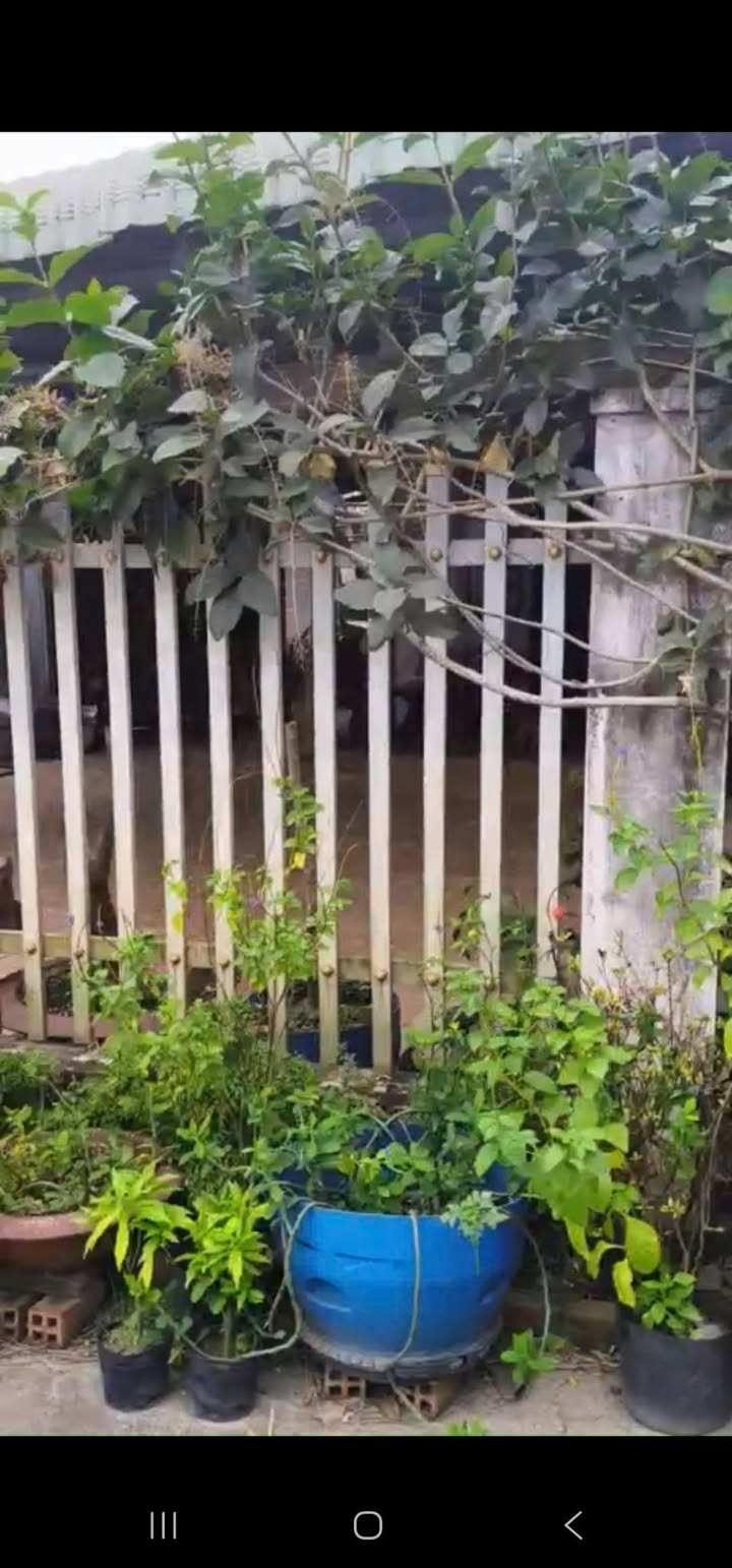 Nhà riêng Phường 2, TP Tây Ninh 480m² - Giá tốt hiếm có!