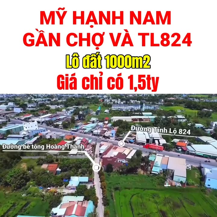 Đất Nền Mỹ Hạnh Nam 1000m² Giá Tốt Đầu Tư - Sổ Hồng Sẵn Sàng