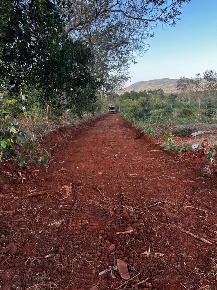 Đất Đỏ Cư Mốt, Ea H'leo 1620m² - Mặt Tiền 80m, Giá 1.25 Tỷ