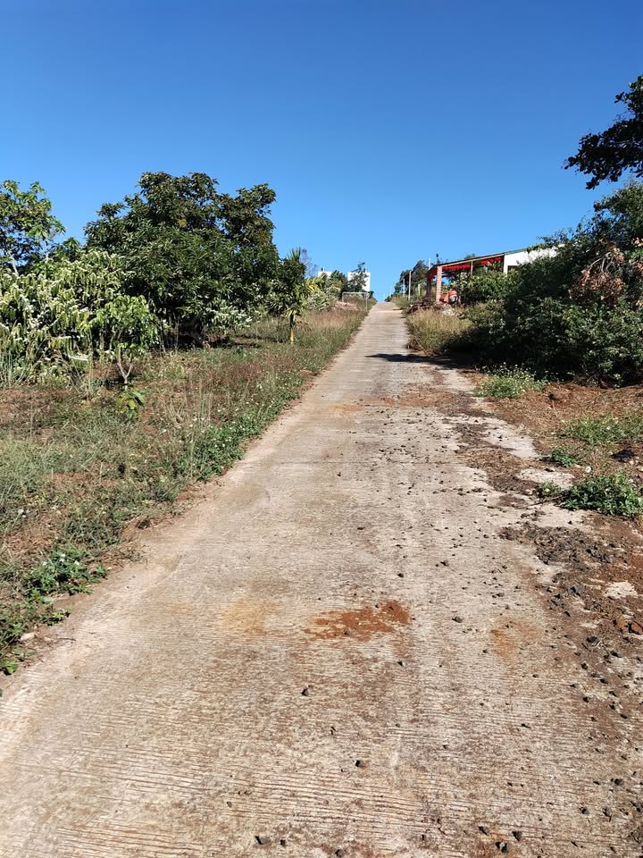 Bán đất Xã Đăk R'Moan, Gia Nghĩa 570m² - Sẵn sàng lên thổ cư, đầu tư sinh lời