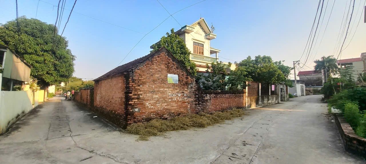 Đất nền Quang Minh, Mê Linh 100m² - Tiềm năng tăng giá vượt trội!