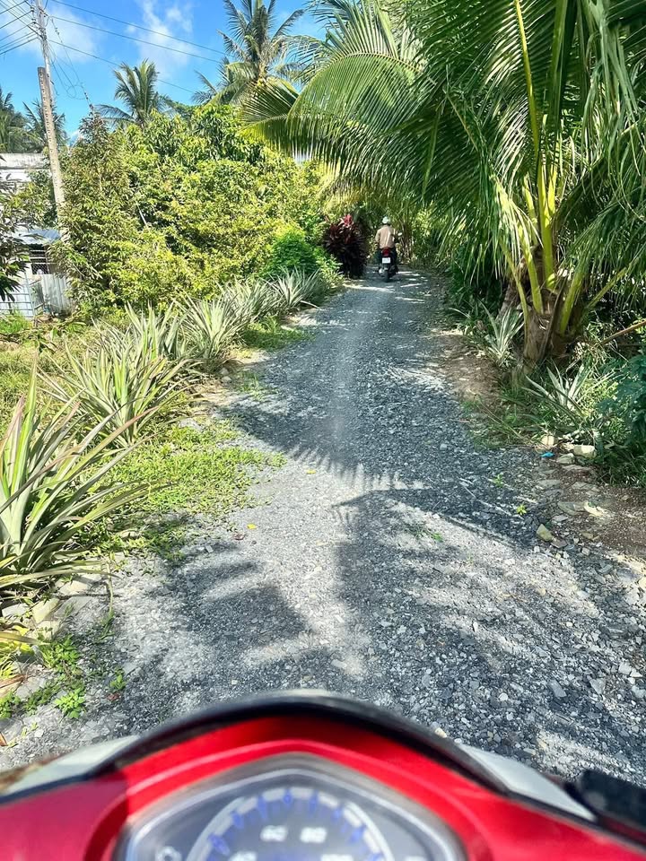 Đất nền Ấp 9 Tam Bình 150m² giá 220 triệu - Sổ đỏ chính chủ!