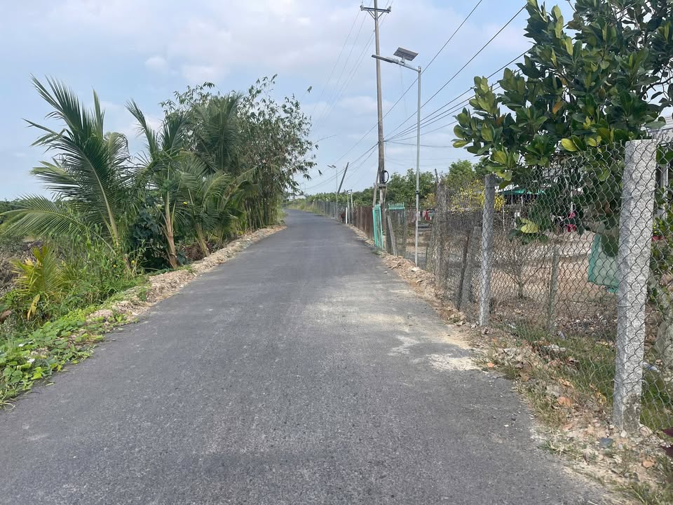 Bán Đất Vườn 2574m² Ô Môn, Cần Thơ - Sổ Đỏ Thổ Cư, Trồng Mít Thái Trúng Mùa