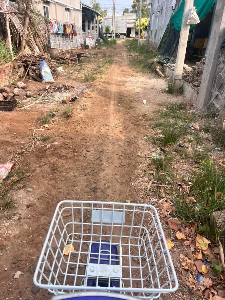 Đất Nền Bình Đại, Bến Tre 12100m² - Tiềm năng tăng giá, sổ đỏ sẵn sàng!