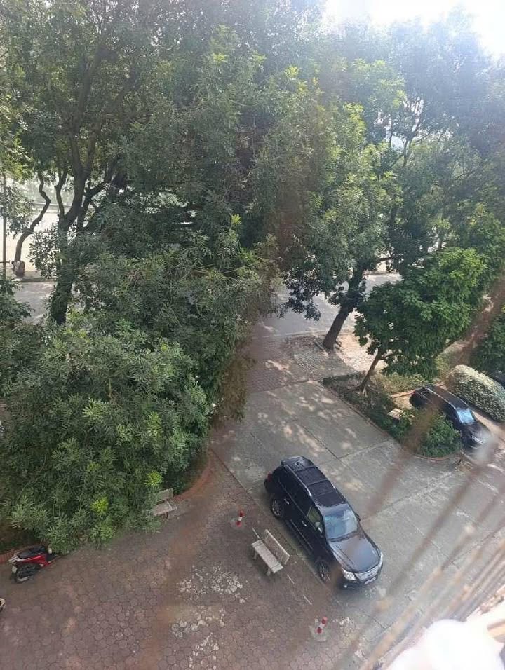 Chung cư Trần Thủ Độ 68m² - Sổ đỏ chính chủ, giá tốt