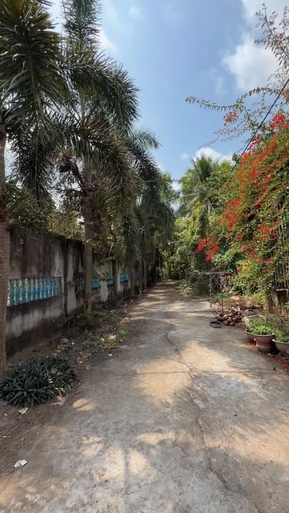 Đất Nghỉ Dưỡng Trà Vinh 1131m² - View Kênh Thoáng Mát, 2 Mặt Tiền