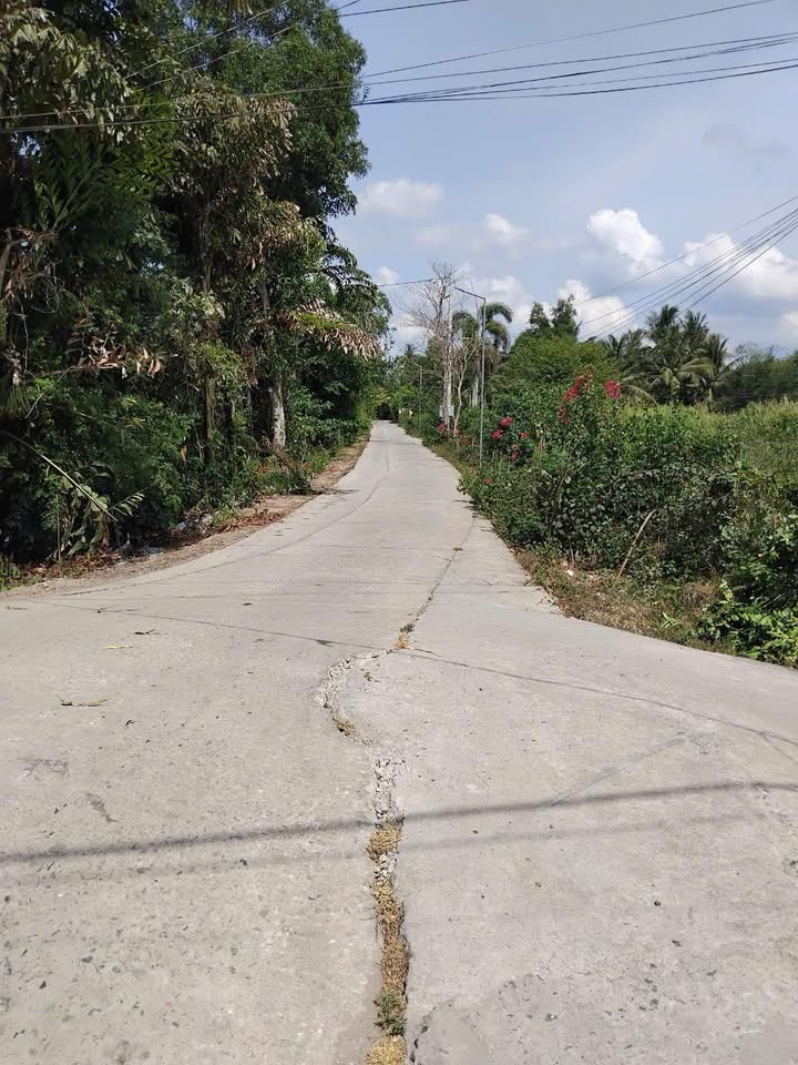 Đất nền Ấp Thanh Long, Long Phú 115m² - Sổ đỏ chính chủ!