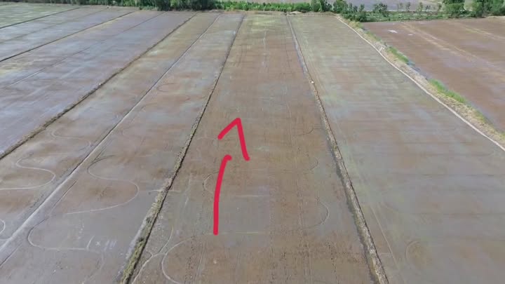 Bán 8000m² Đất Ruộng Tháp Mười Giá 1.2 Tỷ - Tiềm Năng Đầu Tư Dài Hạn