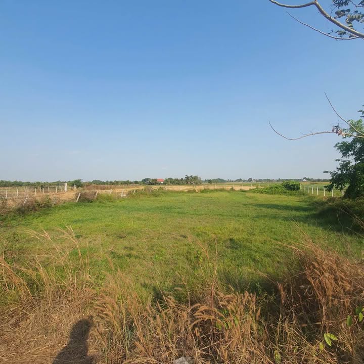 Bán Đất Củ Chi 1154m² Mặt Tiền Nguyễn Thị Náo - Giá 3.2 Tỷ