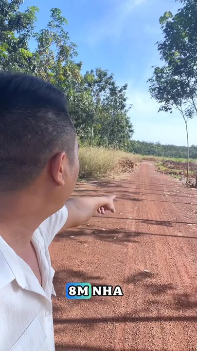 Đất vườn Hưng Hòa, Bàu Bàng 10.000m² giá 3 tỷ - Đầu tư dài hạn!