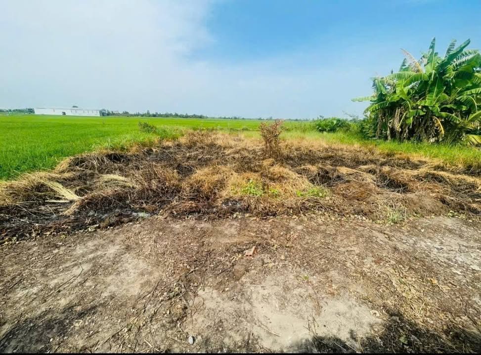 Bán đất Kênh Cây Bàng Rạch Giá 520m² giá 500 triệu - Sổ đỏ chính chủ