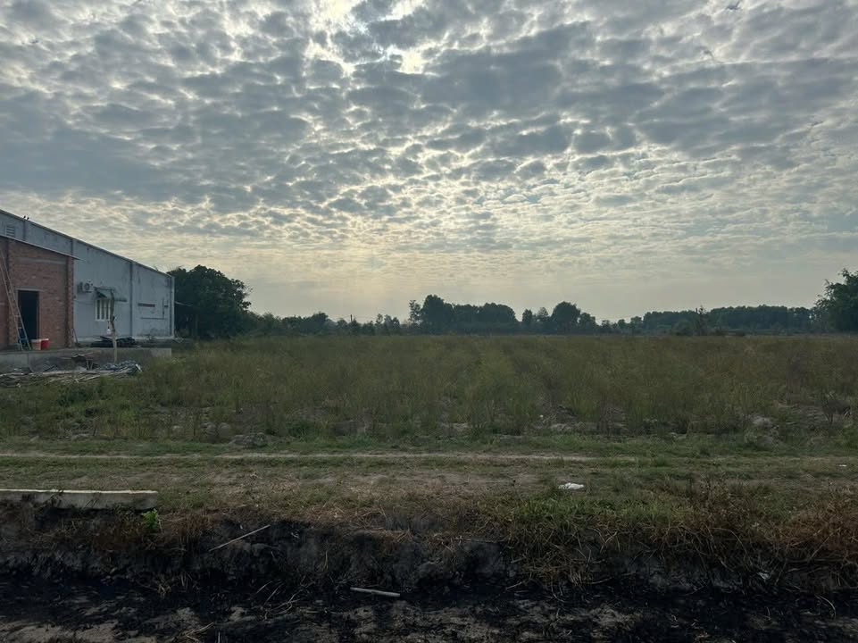 Đất nền Bến Cầu Tây Ninh 200m² - Sổ đỏ chính chủ