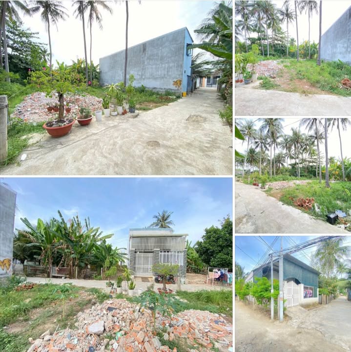 Đất nền Cồn Ngọc Thảo 218m² giá 1.56 tỷ - Sổ đỏ chính chủ!