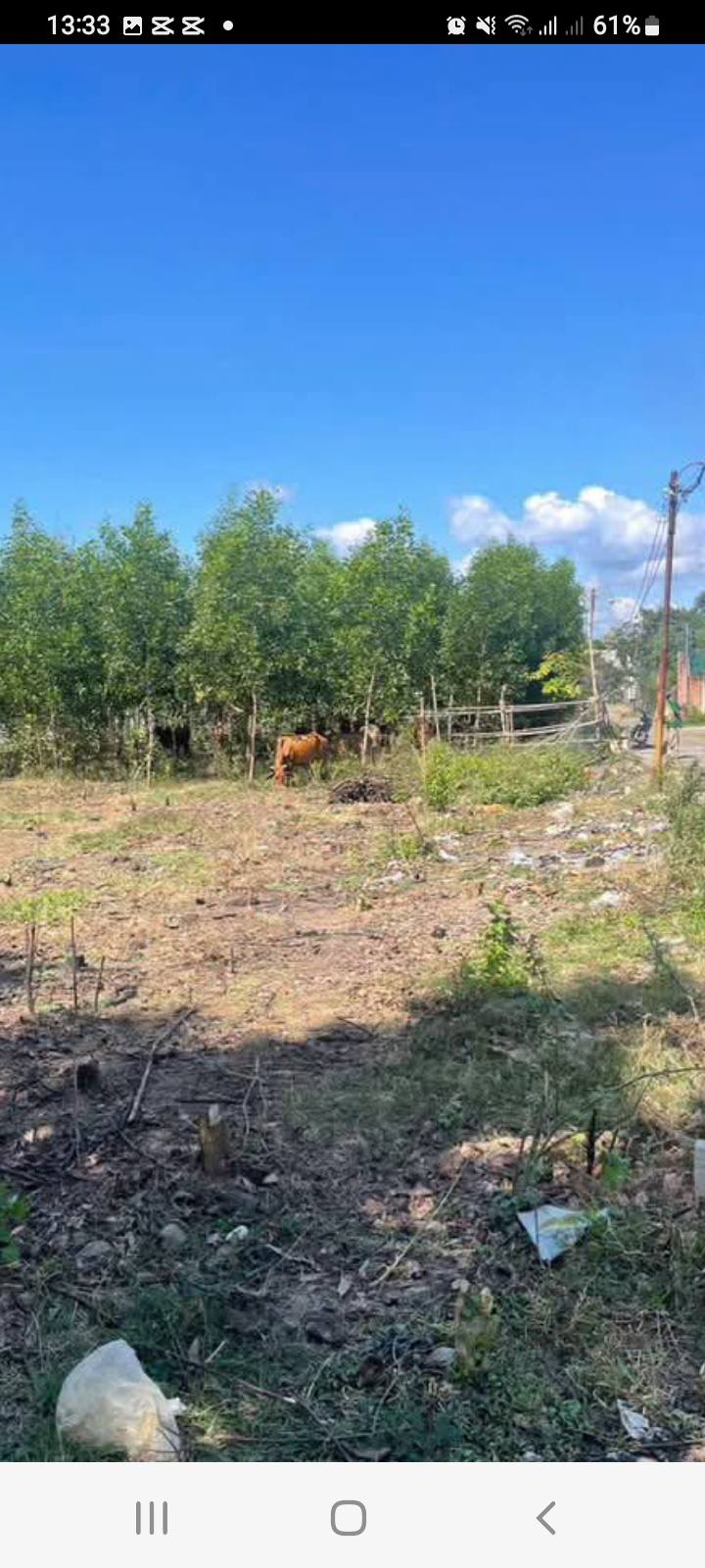 Đất Trị An Đồng Nai 127m² Full Thổ Cư - Giá Chỉ 8 Tỷ, Vị Trí Trung Tâm