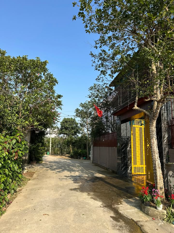 Đất nền Nghi Ân, Vinh 127m² - Vuông vắn, đường ô tô, sẵn sàng xây nhà