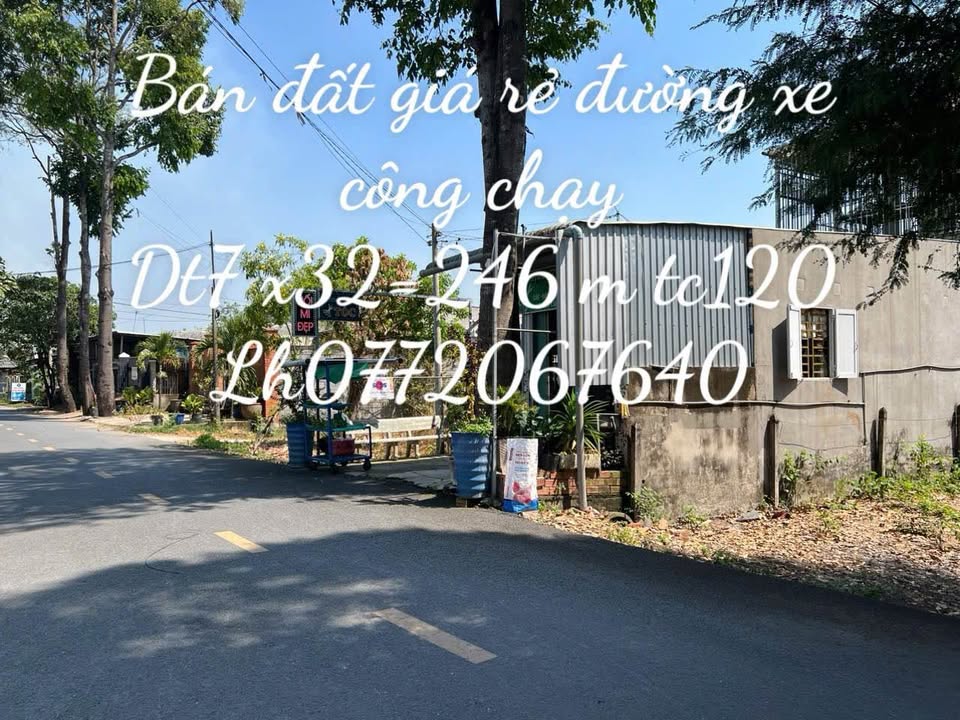Bán Đất Củ Chi 246m² Đường Lý Thì Chừng - Sổ Đỏ Rõ Ràng