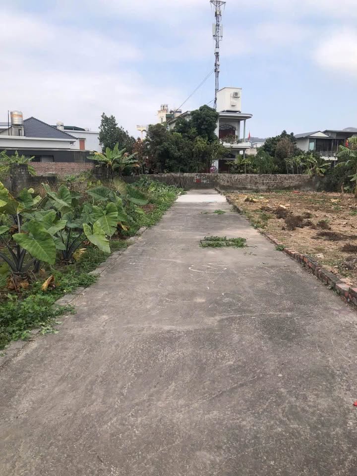 Đất nền Cẩm Phả - Sổ đỏ 59m² - Giá cắt lỗ chỉ từ 5xx triệu