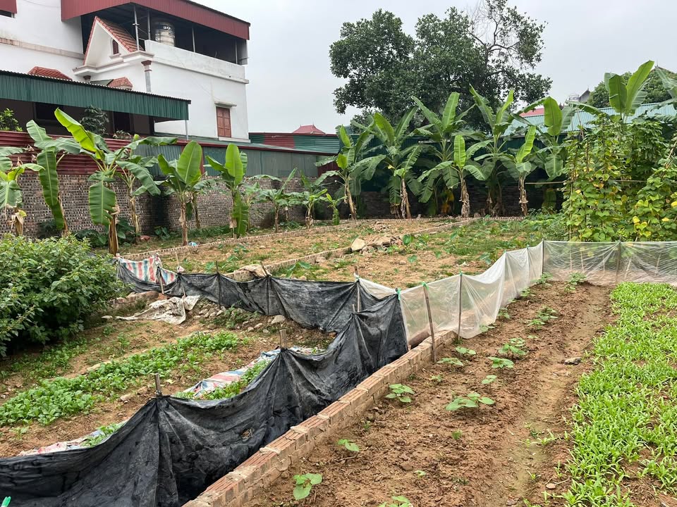 Đất nền Quế Võ 73m² giá 1 tỷ - Giá F0 CĐT