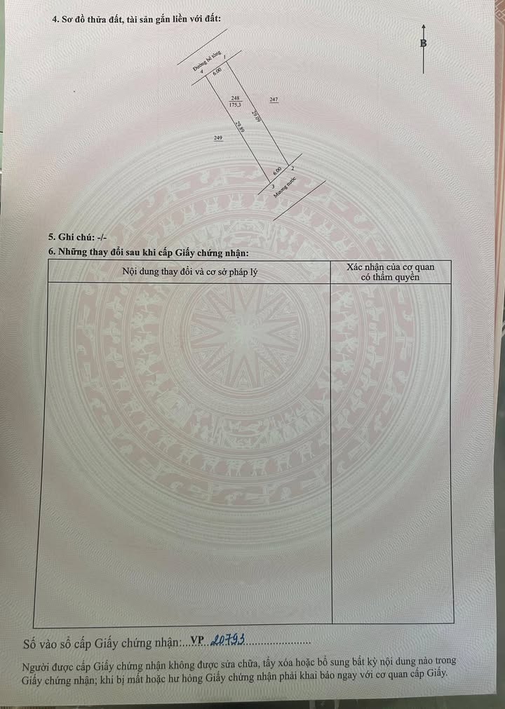 Đất nền Triệu Cơ, Triệu Lăng 179m² - Tiềm năng tăng giá vượt trội!