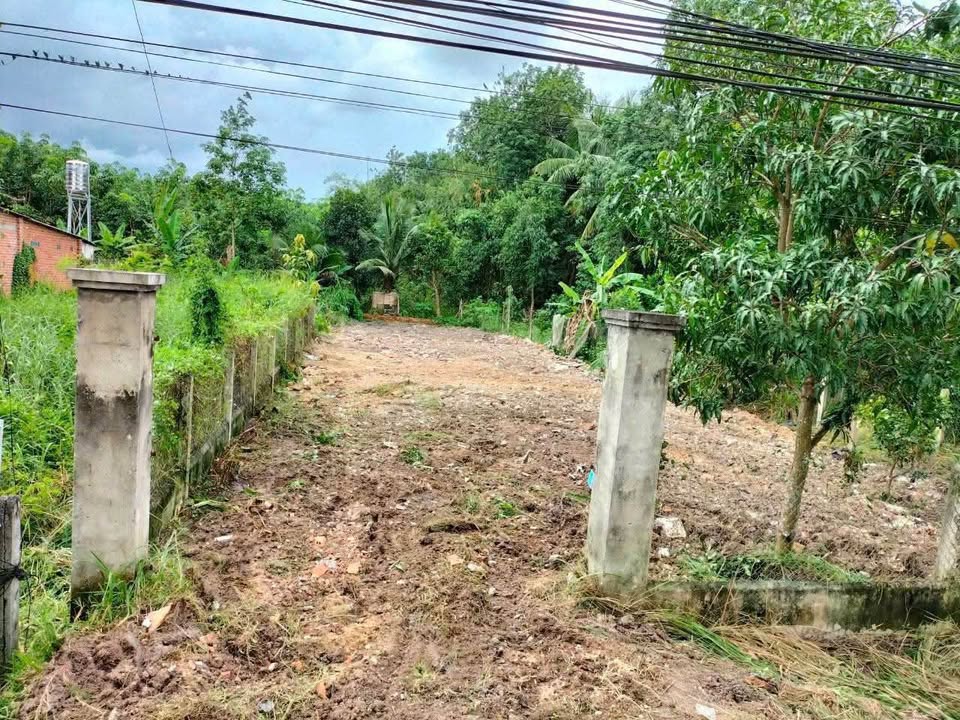 Đất nền Xã Thạnh Tân TP Tây Ninh 4500m² - Pháp lý rõ ràng