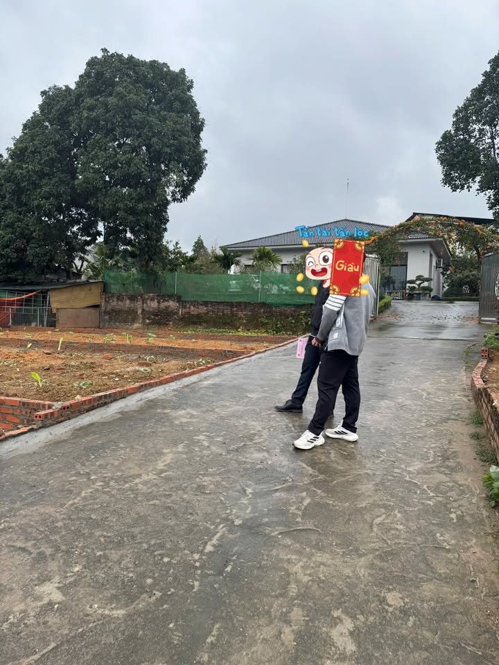 Đất nền Việt Trì 73m² sổ đỏ - Sẵn sàng xây nhà đón lộc