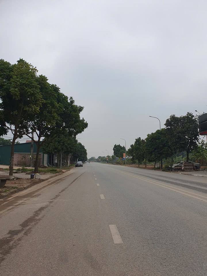 Đất nền Việt Trì 71m² giá 3 tỷ - Vị trí đẹp tiềm năng tăng giá