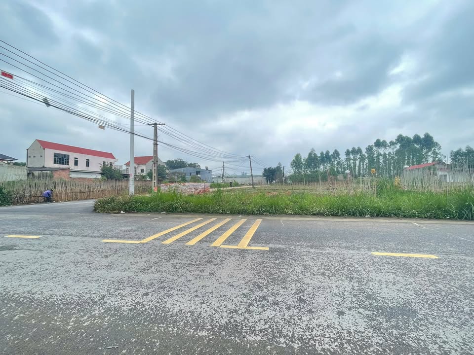 Biệt Thự 2 Mặt Tiền 300m² Đất Vàng Phú Thọ - Sẵn Sổ Đỏ