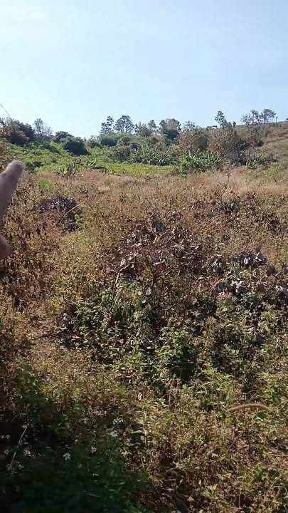 Bán Gấp Đất Vườn Nam Dong, Đắk Nông - 19.000m² Sổ Hồng Riêng