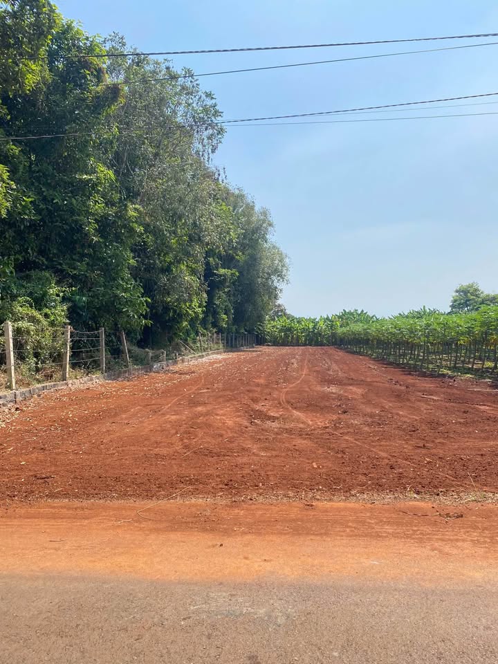 Đất nền Long Tâm, Bà Rịa 1000m² - Sổ đỏ chính chủ, đường ô tô!