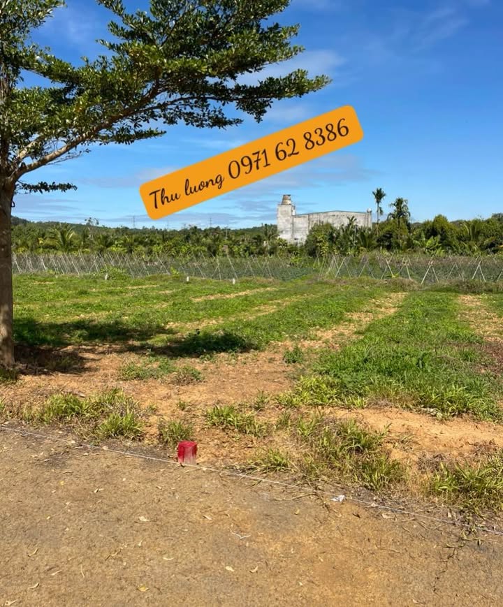 Đất nền Lộc Thành, Bảo Lộc 180m² giá 600 triệu - Sổ đỏ chính chủ!