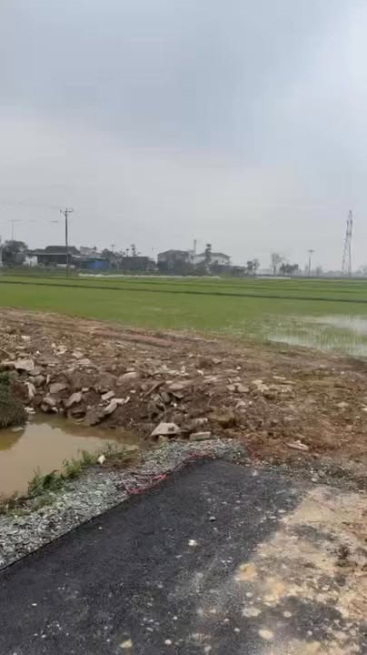 Đất nền Cẩm Thành, Cẩm Xuyên 132m² giá 1 tỷ - Đường to ô tô