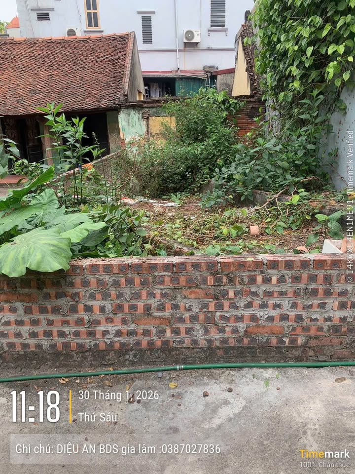 Bán Đất Kim Sơn Gia Lâm 60m² - Sổ Đỏ Sẵn Sàng Giao Dịch